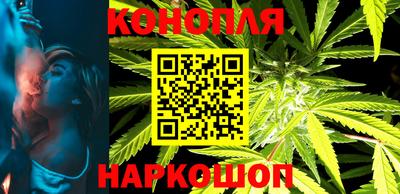 прущие грибы Будённовск
