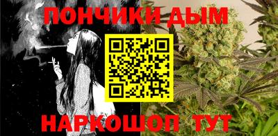прущие грибы Будённовск