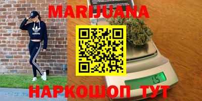 прущие грибы Будённовск